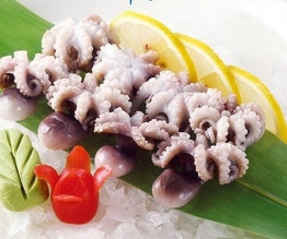 小章魚