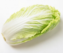 白菜