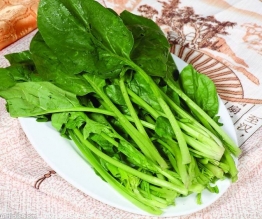 菠菜